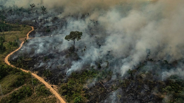 Βραζιλία: Συνελήφθησαν 63 άτομα στις επιχειρήσεις καταπολέμησης των πυρκαγιών στον Αμαζόνιο