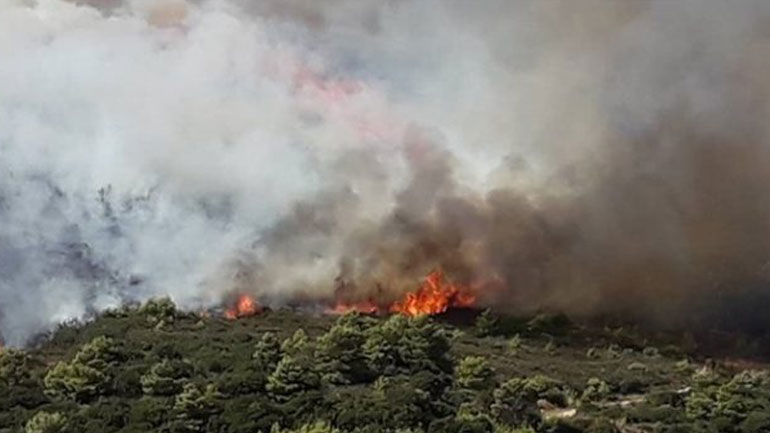 Φωτιά μικρής έκτασης στο Κορακοβούνι Ηρακλείου