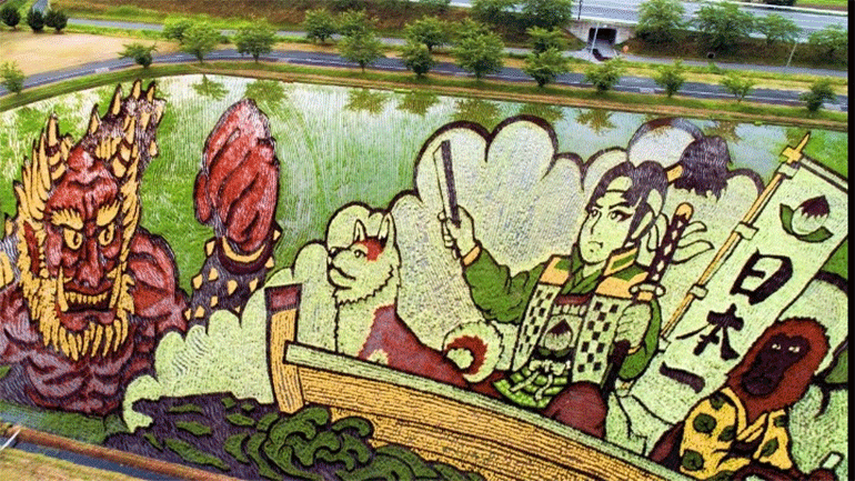 «Ζωγραφίζοντας» ρυζοχώραφα του ονείρου στην Ιαπωνία