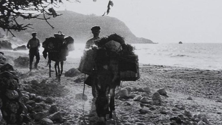 Από Κηφισιά σε Κορωπί τα ΕΛΤΑ με… γαϊδούρι!