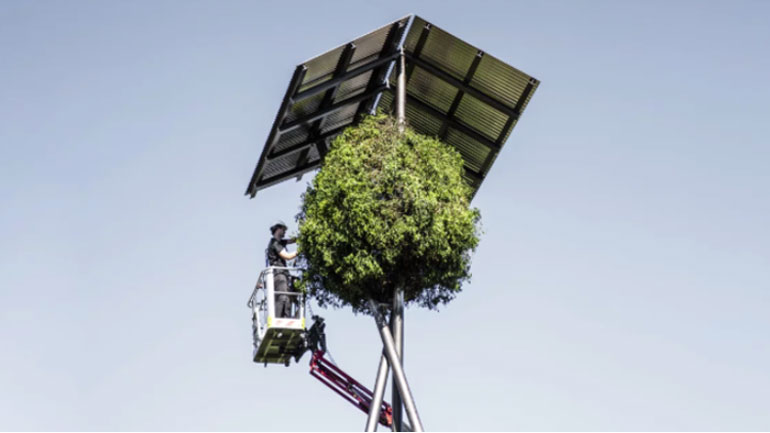 «Αιώνια αγάπη», ένα γιγαντιαίο καταφύγιο πουλιών υψώνεται στη Λωζάνη