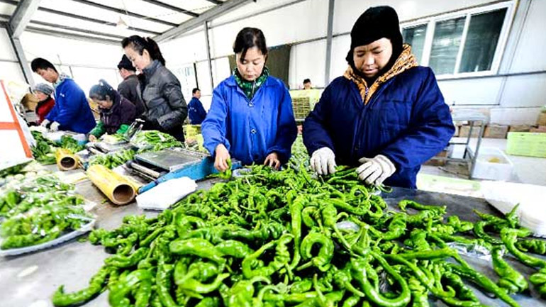 Αυξήθηκε η τιμή των λαχανικών στην Κίνα