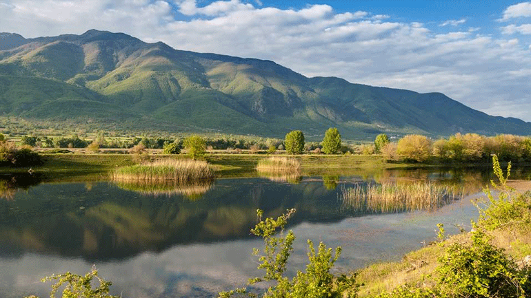 Σε μόλις δύο ημέρες ταξίδεψαν από τον βορρά της Ευρώπης στην Κερκίνη δεκάδες νανόχηνες