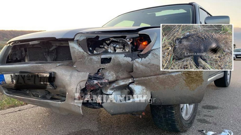 Αγριογούρουνο… συγκρούστηκε με  Ι.Χ