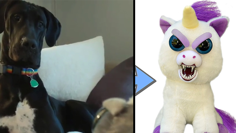 Μεγάλος Δανός VS  Λούτρινο