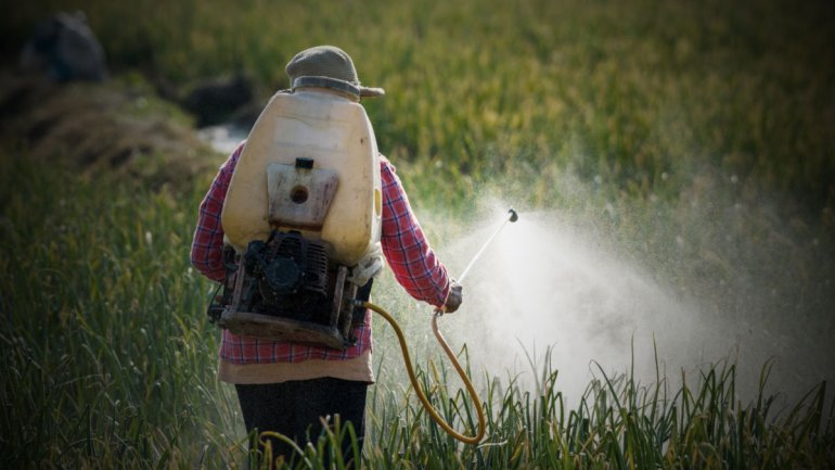 Η έκθεση σε φυτοφάρμακα αυξάνει τον κίνδυνο καρδιακής νόσου και εγκεφαλικού επεισοδίου