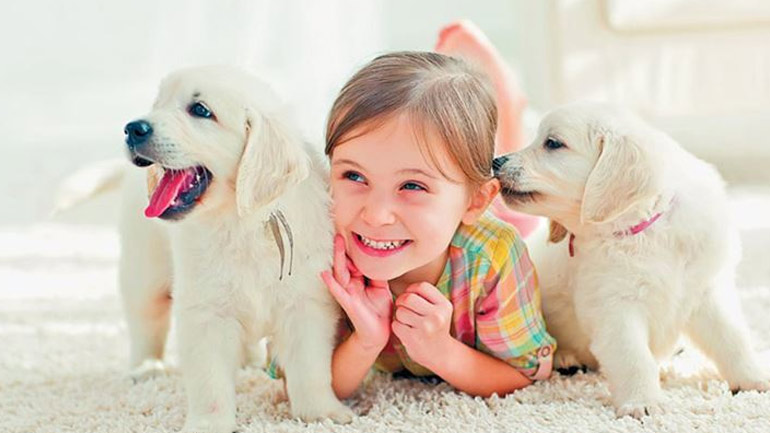 Πώς θα μάθετε το παιδί να αγαπάει τα ζώα;