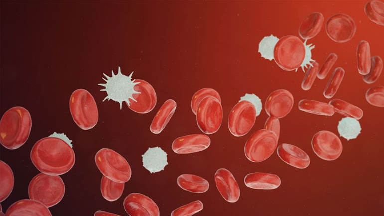 Ποια διατροφή αυξάνει τα λευκά αιμοσφαίρια ή λευκοκύτταρα