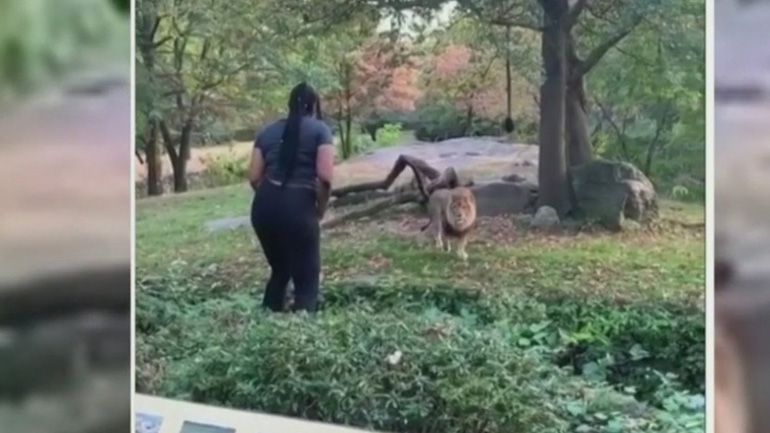 Η γυναίκα προκάλεσε το λιοντάρι αλλά… ήταν τελικά τυχερή