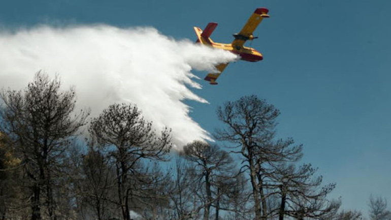 Κέρκυρα: Πυρκαγιά σε δασική έκταση στα Βασιλικά