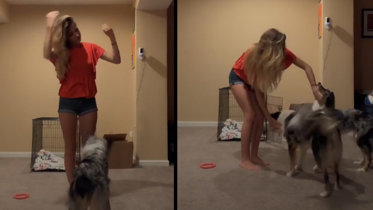 Τι κάνουν οι σκύλοι σου όταν λιποθυμάς