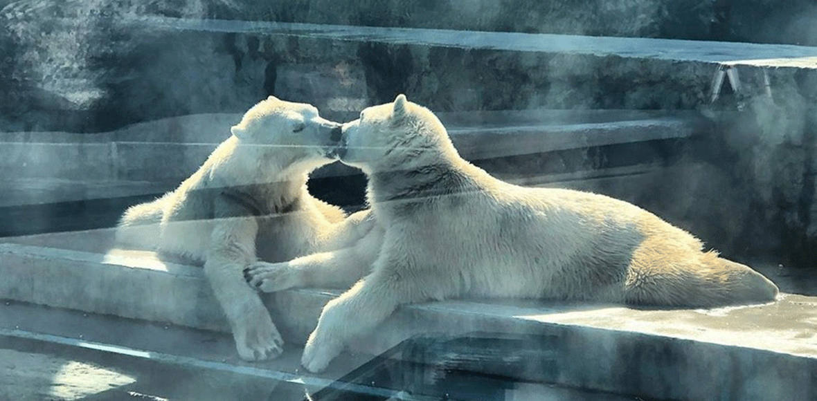 Ο έρωτας δεν κρύβεται!