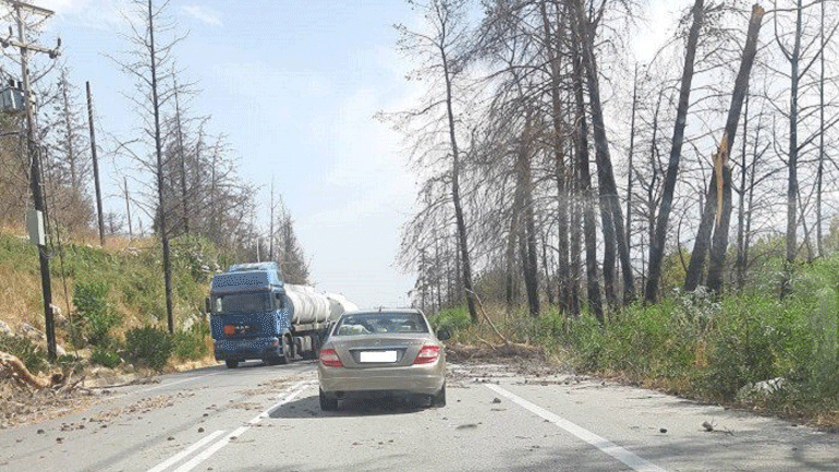 Χανιά: Προβλήματα και πτώσεις δέντρων λόγω ισχυρών ανέμων