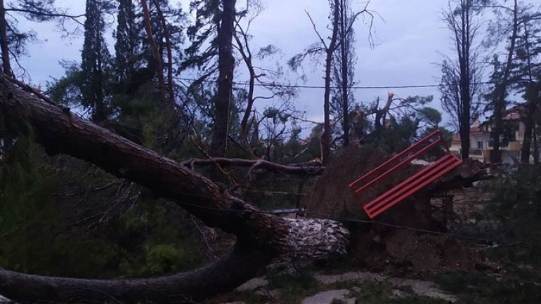 Προβλήματα από την κακοκαιρία στη Χαλκιδική – Ξεριζώθηκαν δέντρα