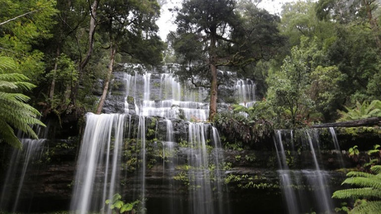 Ότομ Πελτιέ: «Η μητέρα Γη δεν μας χρειάζεται, εμείς τη χρειαζόμαστε»