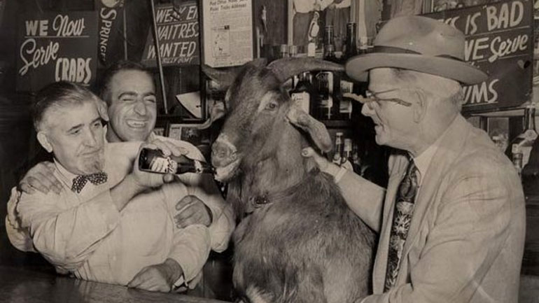 «Η κατάρα του τράγου»: Ο θρύλος με τον Έλληνα που «καταράστηκε» ομάδα στο Σικάγο