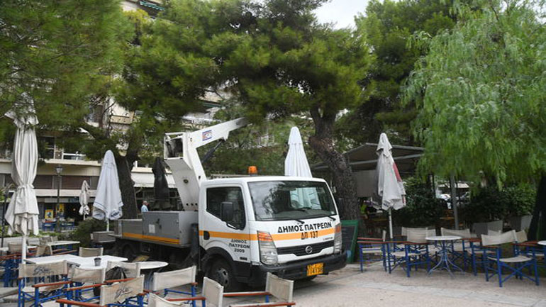 Πάτρα: Άρχισαν οι εργασίες κλαδέματος των δέντρων στην πλατεία Υψηλών Αλωνιών