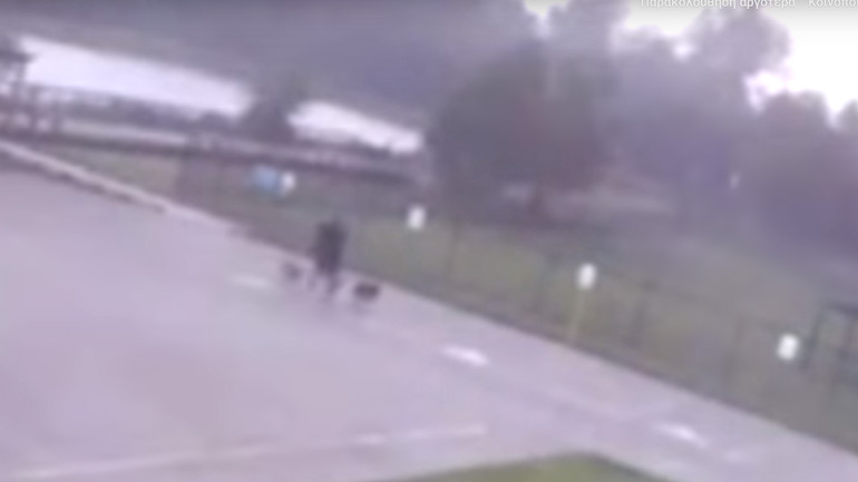 Τέξας: Άνδρας χτυπήθηκε από κεραυνό ενώ έβγαζε βόλτα τα σκυλιά του