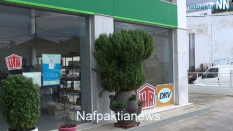 Βασιλικός-γίγας στη Ναυπακτία