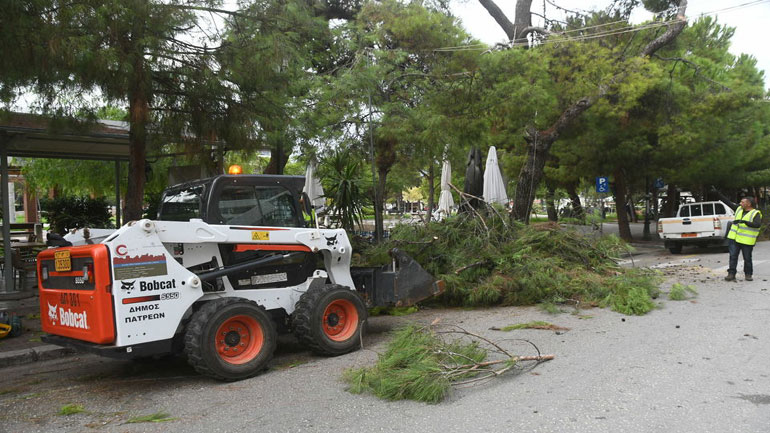 Πάτρα: Συνεχίζονται οι εργασίες κλαδέματος περιμετρικά της πλατείας Υψηλών Αλωνίων