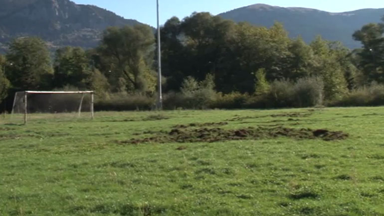 Καρπενήσι: Αγριογούρουνα εισέβαλαν στο αθλητικό κέντρο