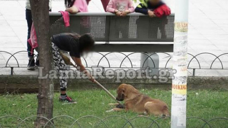 Λαμία: Ανήλικοι επιχείρησαν να ταΐσουν νεογέννητο γατάκι σε σκύλο