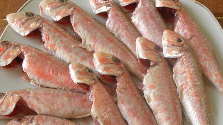 Κατασχέθηκαν δεκάδες κιλά κουτσομούρες στην Ιχθυόσκαλα Νέας Μηχανιώνας