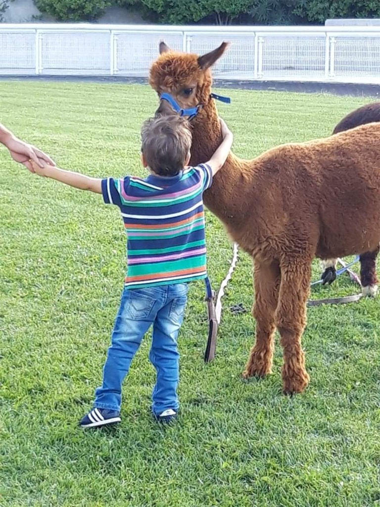  Τα παιδιά διασκεδάζουν με τα alpaca