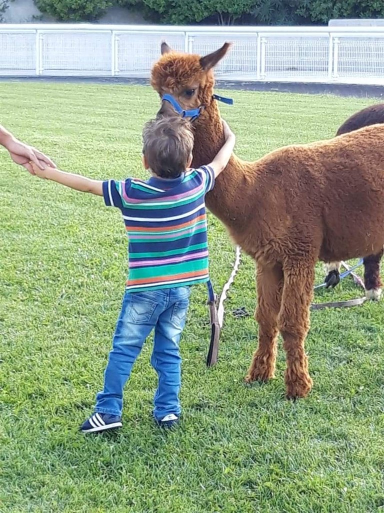 Τα παιδιά διασκεδάζουν με τα alpaca