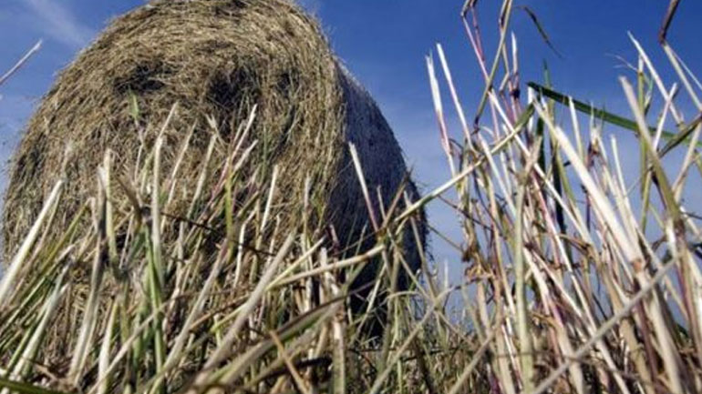 Απαγόρευση της καύσης γεωργικών υπολειμμάτων και ποινές για τους παραβάτες στον Δήμο Δέλτα