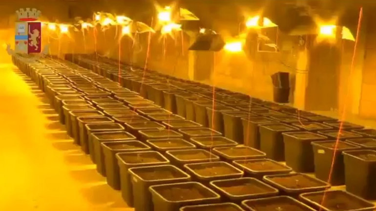 Ιταλία: Εντοπίστηκε φυτεία κάνναβης σε βίλα στη Σαρδηνία