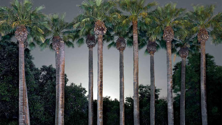 «Εθνικός Κήπος, περίπατος μαθητείας  – 20+1 στάσεις»: Το νέο βιβλίο του Θοδωρή Γκόνη