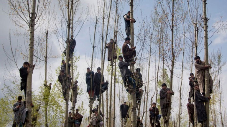 Στον Νταρ Γιασίν το διεθνές βραβείο φωτορεπορτάζ «Γιάννης Μπεχράκης»
