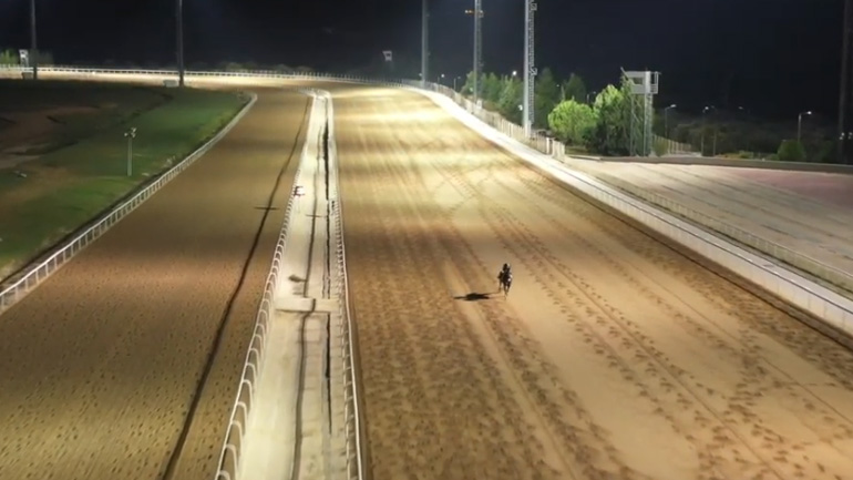Οι ίπποι και οι προπονητές του 73ου Ελληνικού Ντέρμπι ΟΠΑΠ