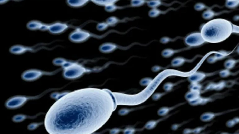 Τι πρέπει και τι δεν πρέπει να κάνει ένας άνδρας που θέλει να ενισχύσει τη γονιμότητά του;