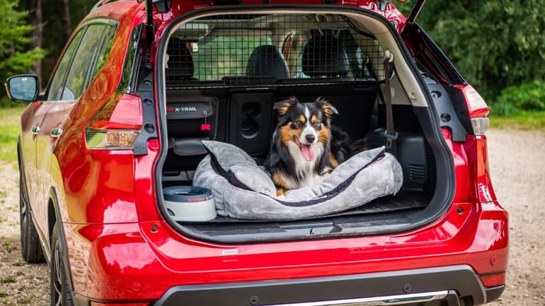 Το πιο φιλικό αυτοκίνητο για σκύλους