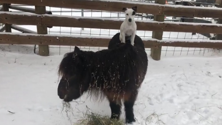 Έτοιμοι για αναχώρηση!