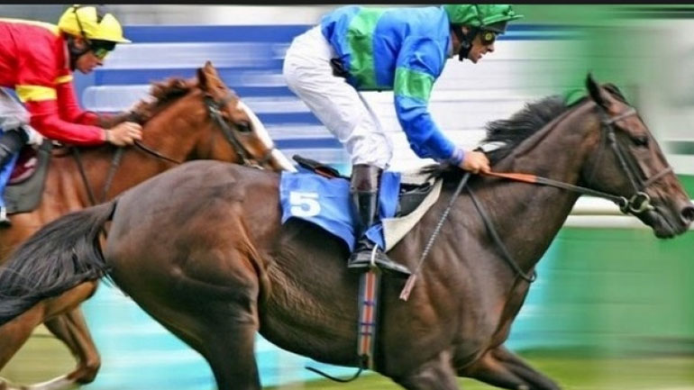 Έρευνα για τις μαζικές σφαγές αλόγων κούρσας στην Αυστραλία