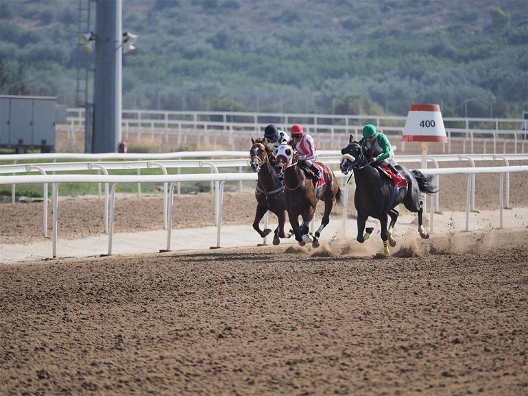 Ιπποδρομίες