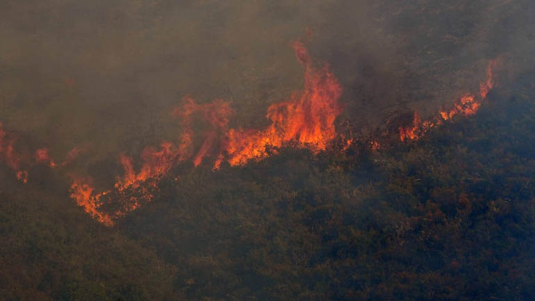 Υπό μερικό έλεγχο η φωτιά στο Κακοτάρι Ηλείας