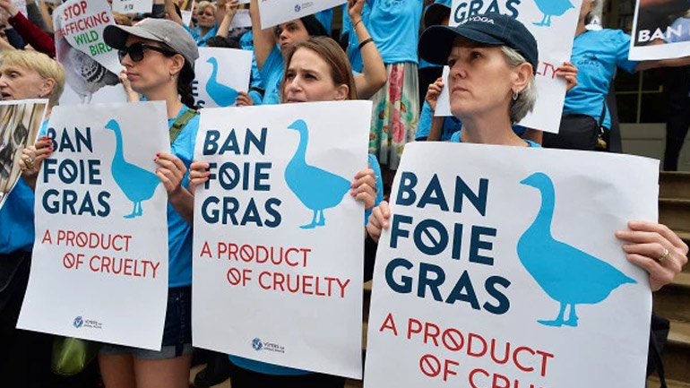 ΗΠΑ: Η Νέα Υόρκη απαγόρευσε το φουά γκρα