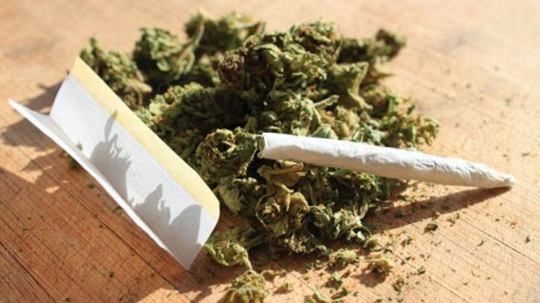 Σύλληψη 23χρονου για καλλιέργεια κάνναβης στο Ηράκλειο