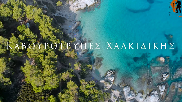 Γνωρίστε την παραλία Καβουρότρυπες, γιατί σαν τη Χαλκιδική… δεν έχει