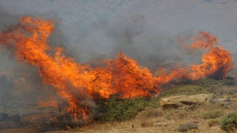Φωτιά σε γεωργική έκταση στις Σπέτσες
