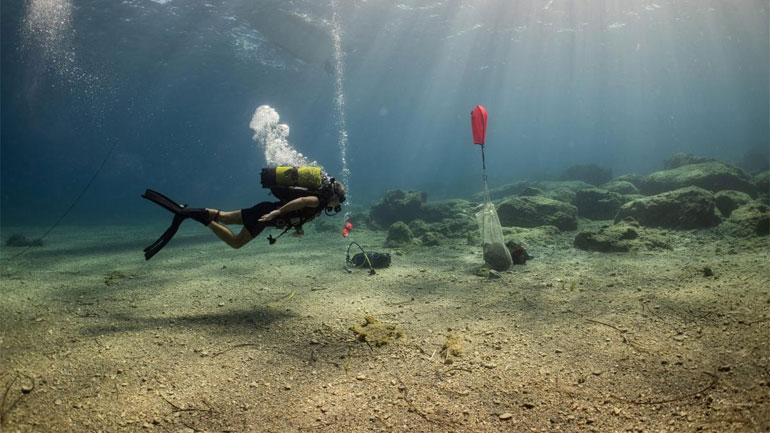 Eντυπωσιακά ευρήματα σε 5 αρχαία ναυάγια της Κάσου