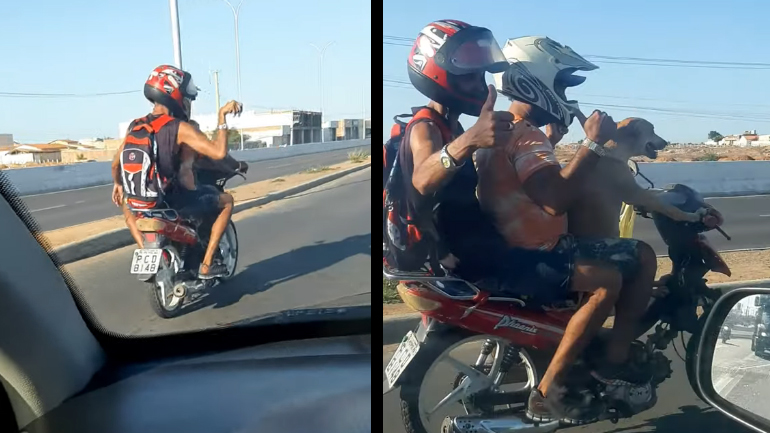 Σκύλος μεταφέρει δύο ανθρώπους με τη μοτοσικλέτα του