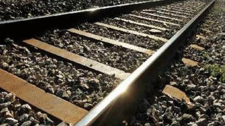 Τρένο παρέσυρε σκύλο και ακινητοποιήθηκε στη Σκύδρα