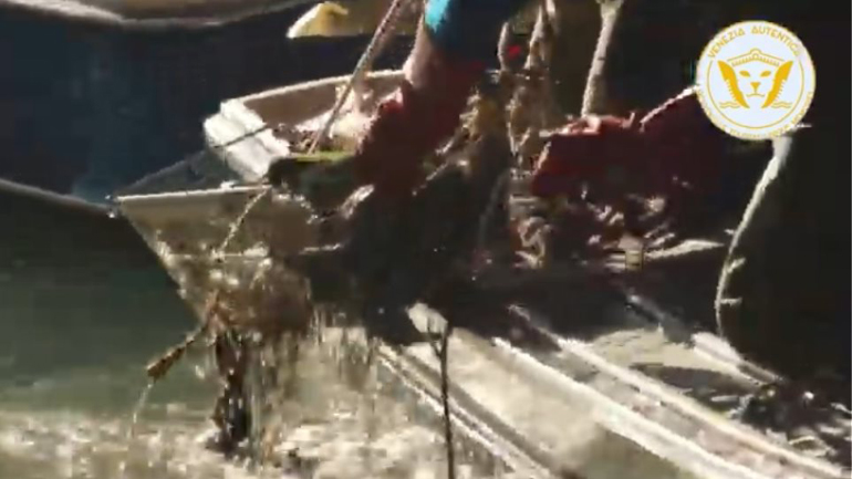 Επιχείρηση καθαρισμού του Μεγάλου Καναλιού της Βενετίας – Ανέσυραν πλυντήρια και τηλεοράσεις!