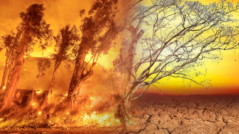 Ο πλανήτης σε κατάσταση εκτάκτου ανάγκης Ο πλανήτης σε κατάσταση εκτάκτου ανάγκης