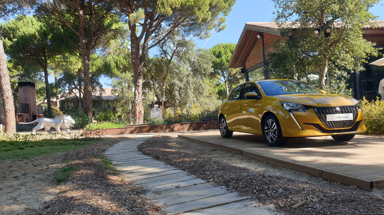 Το συγκεκριμένο γλυπτό το είδαμε για πρώτη φορά κατά τη διάρκεια της πανευρωπαϊκής παρουσίασης της νέας γενιάς του Peugeot 208 στην Πορτογαλία τον Οκτώβριο